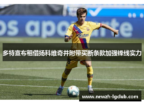 多特宣布租借扬科维奇并附带买断条款加强锋线实力 多特宣布租借扬科维奇并附带买断条款加强锋线实力